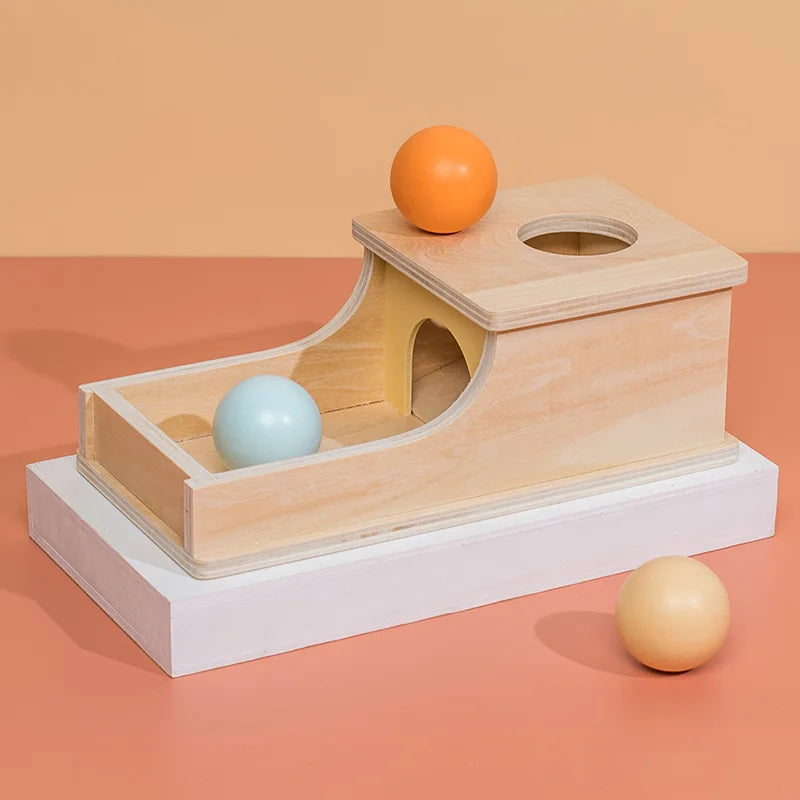 Montessori Ball Box