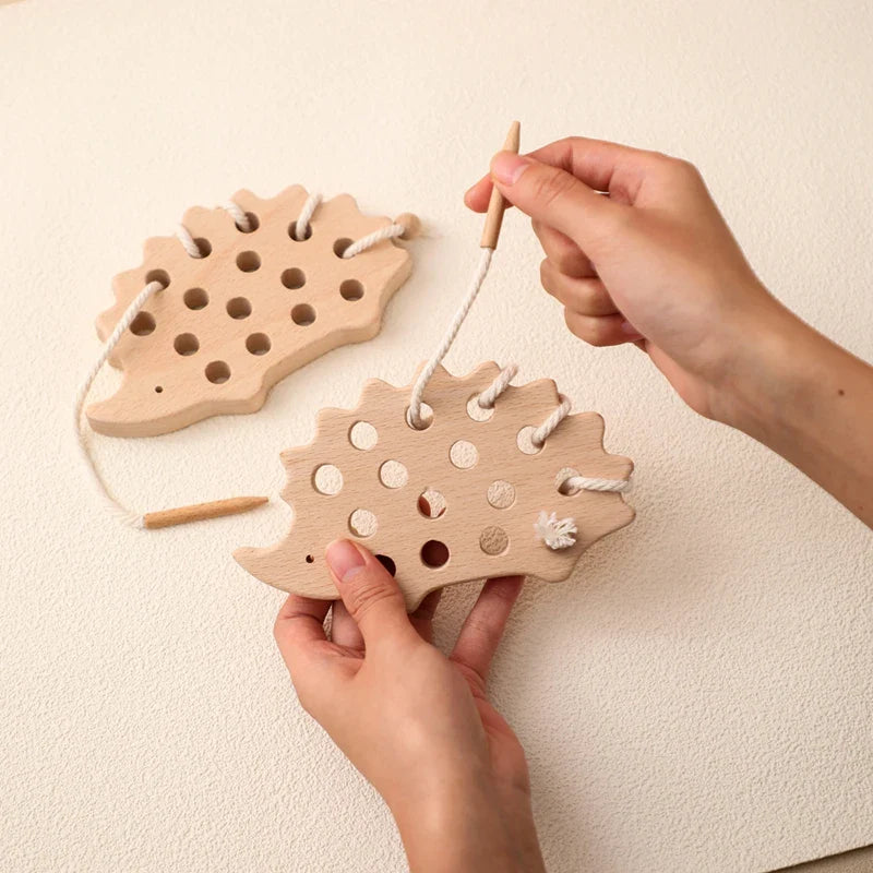 Montessori Wooden Toys